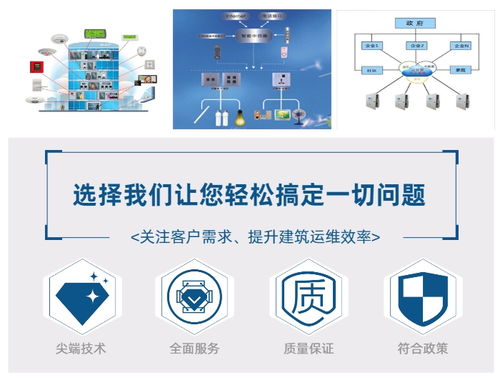 大型网络广告设计方案[大型网络广告设计方案怎么写]