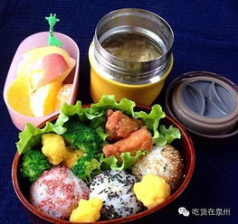 便当食谱设计方案[便当食谱设计方案模板]