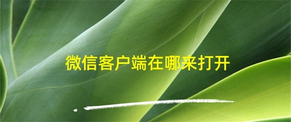 网页微信客户端手机版,网页微信app