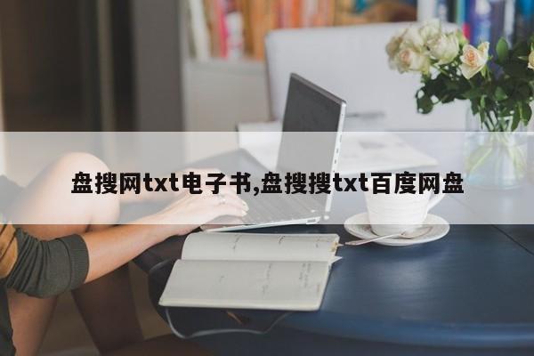 盘搜网txt电子书,盘搜搜txt百度网盘