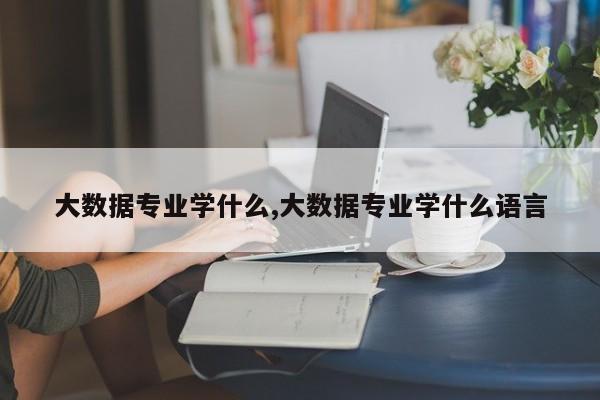 大数据专业学什么,大数据专业学什么语言